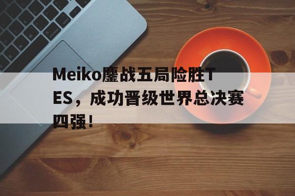 IM电竞手机版-Meiko鏖战五局险胜TES，成功晋级世界总决赛四强！