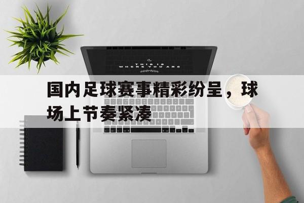 IMdianjingsports-国内足球赛事精彩纷呈，球场上节奏紧凑
