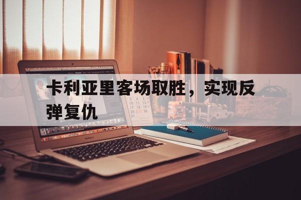 IM电竞手机版-卡利亚里客场取胜，实现反弹复仇