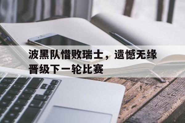 IMdianjingsports-波黑队惜败瑞士，遗憾无缘晋级下一轮比赛